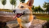 寻找山东省龙口市的宠物医院和宠物用品商店地址,哪里有给狗狗剪毛的