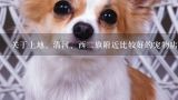 关于上地、清河、西二旗附近比较好的宠物店问题。,北京清河哪家宠物店好?
