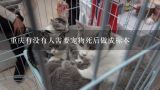 重庆有没有人需要宠物死后做成标本,上海宠物狗死后如何处理