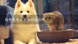 杭州赶集有卖狗的地方吗,杭州买宠物狗的市场在哪里