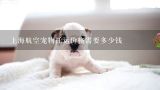 上海航空宠物托运价格需要多少钱,上海宠物托运公司？上海航空托运宠物哪家好？