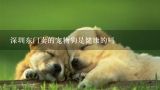 深圳东门卖的宠物狗是健康的吗,深圳东门有宠物店有卖哈士奇的吗？
