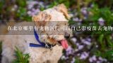 在北京哪里有宠物医院可以自己带疫苗去宠物医院打？北京昌平区沙河镇哪能给狗狗打疫苗
