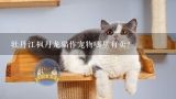 牡丹江枫丹龙猫作宠物哪里有卖？牡丹江哪有收养宠物的地方