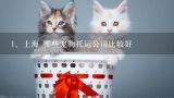 上海 哪些宠物托运公司比较好,上海宠物托运手续