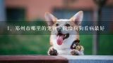 郑州市哪里的宠物医院给狗狗看病最好,郑州好的宠物医院在哪里