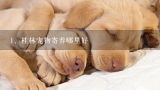 桂林宠物寄养哪里好,请问桂林哪里有流浪狗收容所，我想收养2到3条狗。