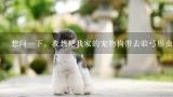 想问一下，我想把我家的宠物狗带去验弓形虫，想知道,广州市番禺区大石镇附近宠物医院地址