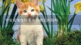 平安爱宠保险重庆有指定医院吗,得了马拉色菌皮炎的猫咪该怎么办？