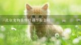 北京宠物美容培训学校怎样,宠物美容师画图