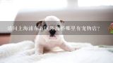 请问上海浦东新区外高桥哪里有宠物店？浦东新区有哪些宠物店