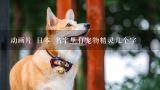 动画片 日本 名字里有宠物精灵几个字,帮忙起个日语宠物名字，和日本动漫游戏相关滴