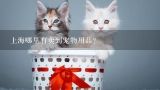 上海哪里有卖到宠物用品？