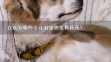 北京有哪些专业的宠物眼科诊所？