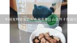 中国宠物协会芯片查询需要什么条件才能进行查询？