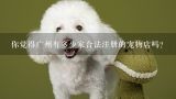 你觉得广州有多少家合法注册的宠物店吗？