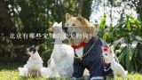 北京有哪些宠物店卖宠物狗?