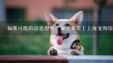 如果可能的话您想要了解更多关于上海宠物馆的信息吗?