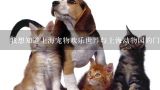 我想知道上海宠物欢乐世界与上海动物园的门票价格有什么不同吗?