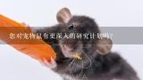 您对宠物鼠有更深入的研究计划吗?