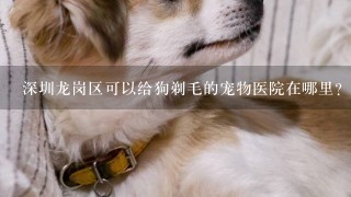 深圳龙岗区可以给狗剃毛的宠物医院在哪里？