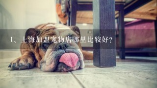 上海加盟宠物店哪里比较好？