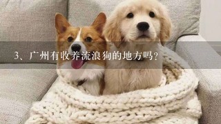 广州有收养流浪狗的地方吗？