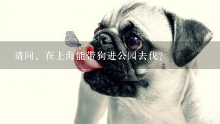 请问。在上海能带狗进公园去伐？