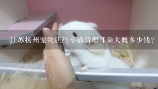 江苏扬州宠物店给小猫清理耳朵大概多少钱？家里的小猫咪耳朵里面有好多污垢，怀疑有耳螨，试过用棉签沾水