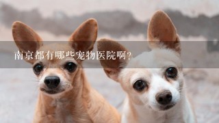 南京都有哪些宠物医院啊?