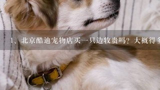 北京酷迪宠物店买一只边牧贵吗？大概得多少钱
