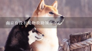 南京有没有宠物救助领养中心