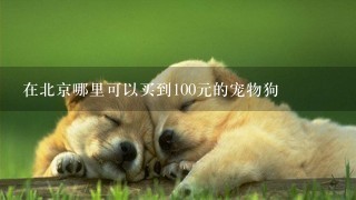 在北京哪里可以买到100元的宠物狗