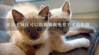 重庆主城区可以给猫猫做绝育手术的价格