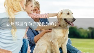 惠州哪里有领养宠物狗的?