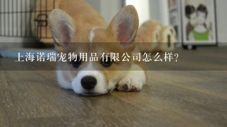 上海诺瑞宠物用品有限公司怎么样？