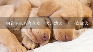 狗狗驱虫药多久吃一次，幼犬一月一次成犬一季度一次