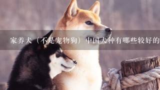 家养犬（不是宠物狗）中国犬种有哪些较好的品种？通人性的！