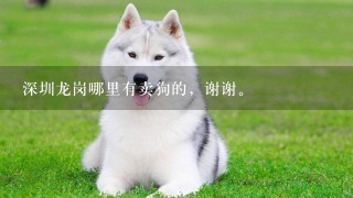 深圳龙岗哪里有卖狗的，谢谢。