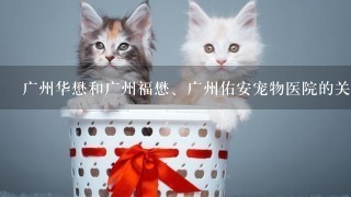 广州华懋和广州福懋、广州佑安宠物医院的关系