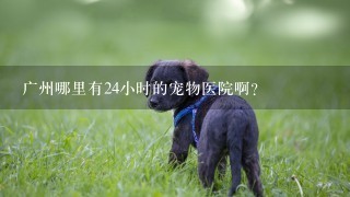 广州哪里有24小时的宠物医院啊？