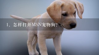 怎样打开MSN宠物狗？