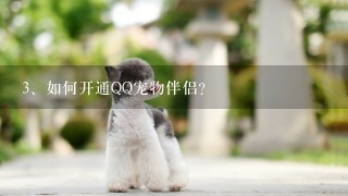 如何开通QQ宠物伴侣？