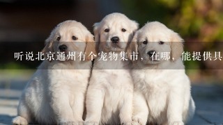 听说北京通州有个宠物集市，在哪，能提供具体地址吗，我从天津怎样可以到哪里呀？多谢~