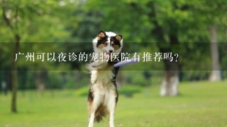 广州可以夜诊的宠物医院有推荐吗？