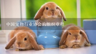 中国宠物行业协会的组织章程