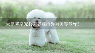 天津哪家宠物美容院给狗狗美容最好?