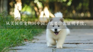 从美国带宠物回中国，需要什么证明手续。