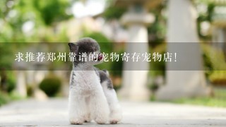 求推荐郑州靠谱的宠物寄存宠物店！