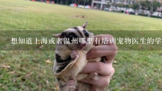 想知道上海或者温州哪里有培训宠物医生的学校或机构，我以后想开宠物医院，所以想自己学习